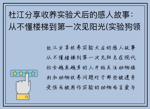 杜江分享收养实验犬后的感人故事：从不懂楼梯到第一次见阳光(实验狗领养)