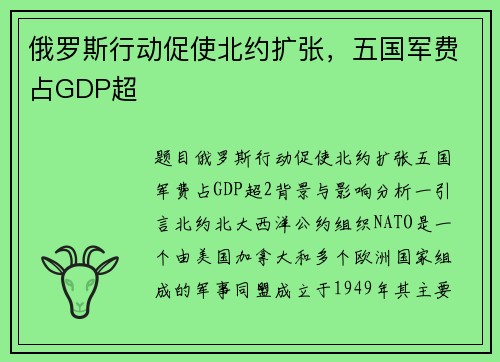俄罗斯行动促使北约扩张，五国军费占GDP超